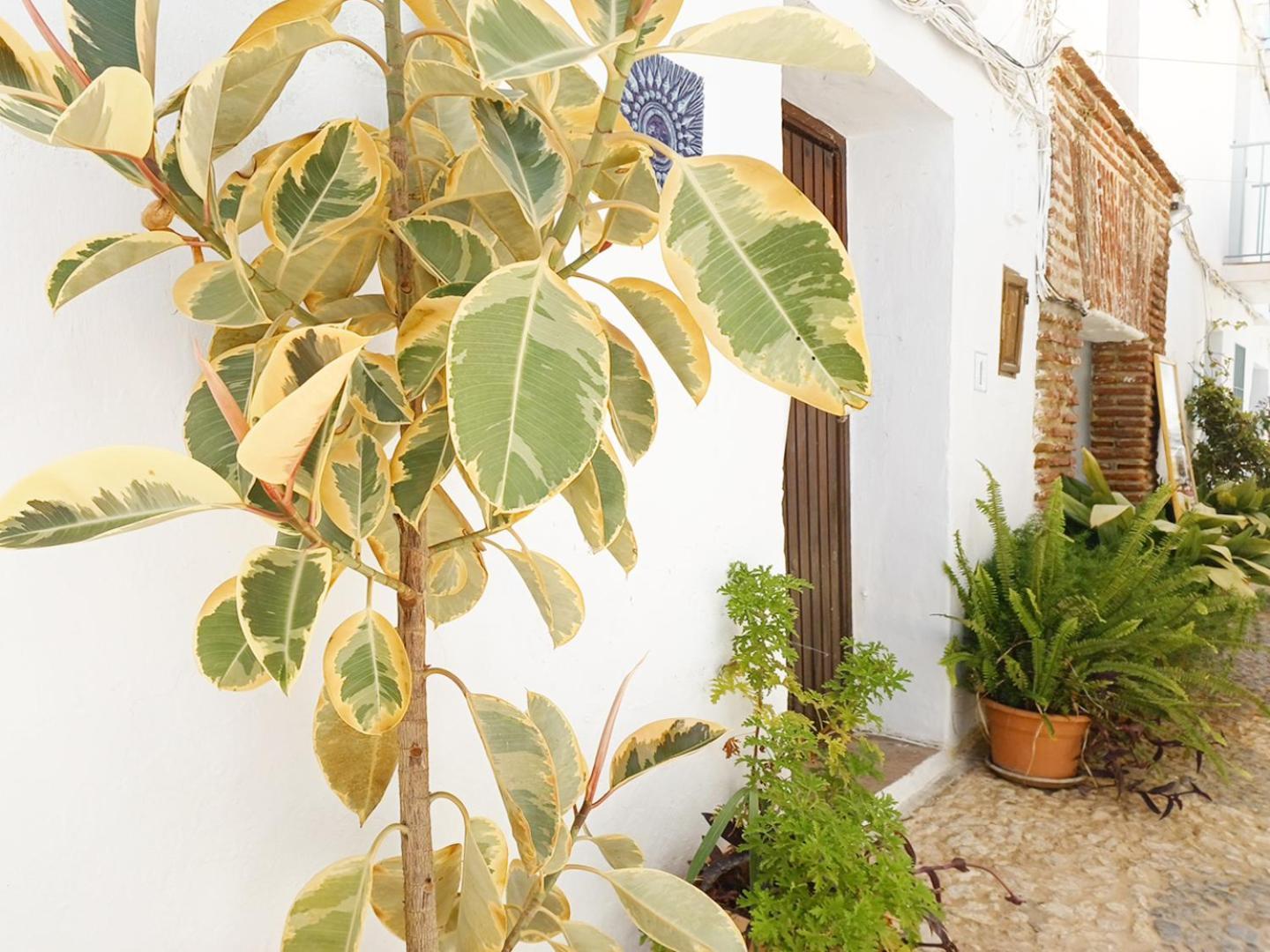 Las Pizarrillas: Tu Hogar En Este Blanco Pueblo Frigiliana Extérieur photo