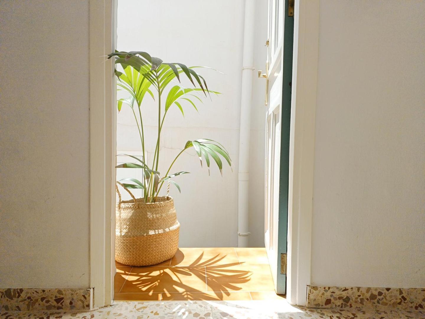 Las Pizarrillas: Tu Hogar En Este Blanco Pueblo Frigiliana Extérieur photo